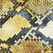 04-11_Snakeheads